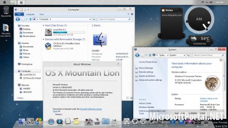 Mountion Lion Skin Pack 2.0