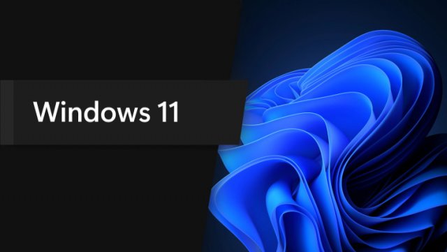 AdDuplex: Windows 11 установлена на 19.7% ПК