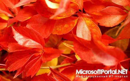 Обои Windows 8 Consumer Preview Build 8220 доступны для скачивания Обои Windows 8 Consumer Preview Build 8220 доступны для скачивания