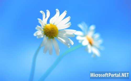Официальные обои Windows 8 RTM