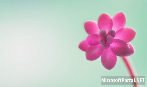 Официальные обои Windows 8 RTM Официальные обои Windows 8 RTM