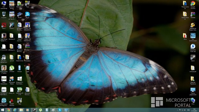 Butterflies