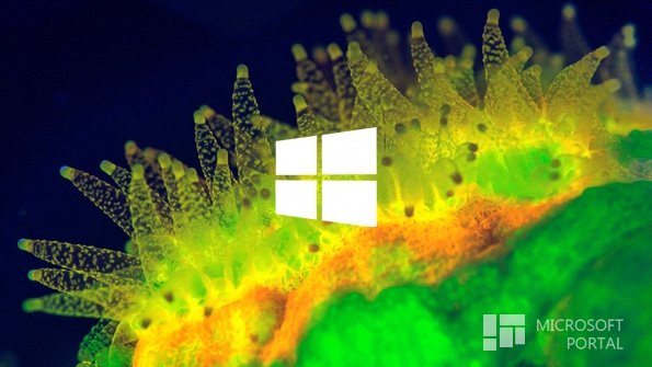 Подписание Windows 8.1 Update 2014 состоится на этой неделе?