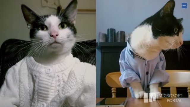 Коты рекомендуют Lumia 930